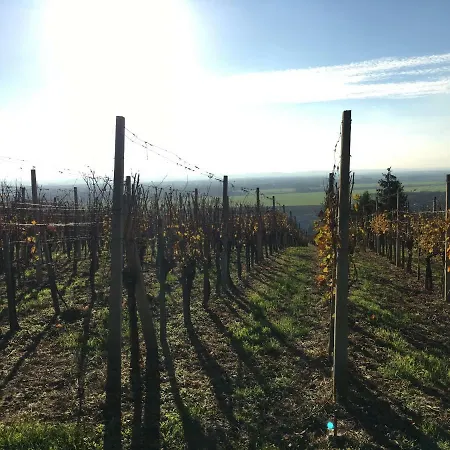 Pri Konjskem Pajdasu Lendava