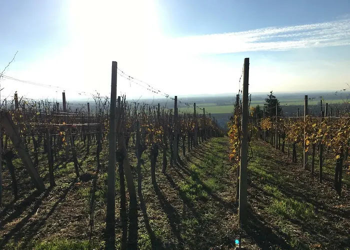 Pri Konjskem Pajdasu Lendava